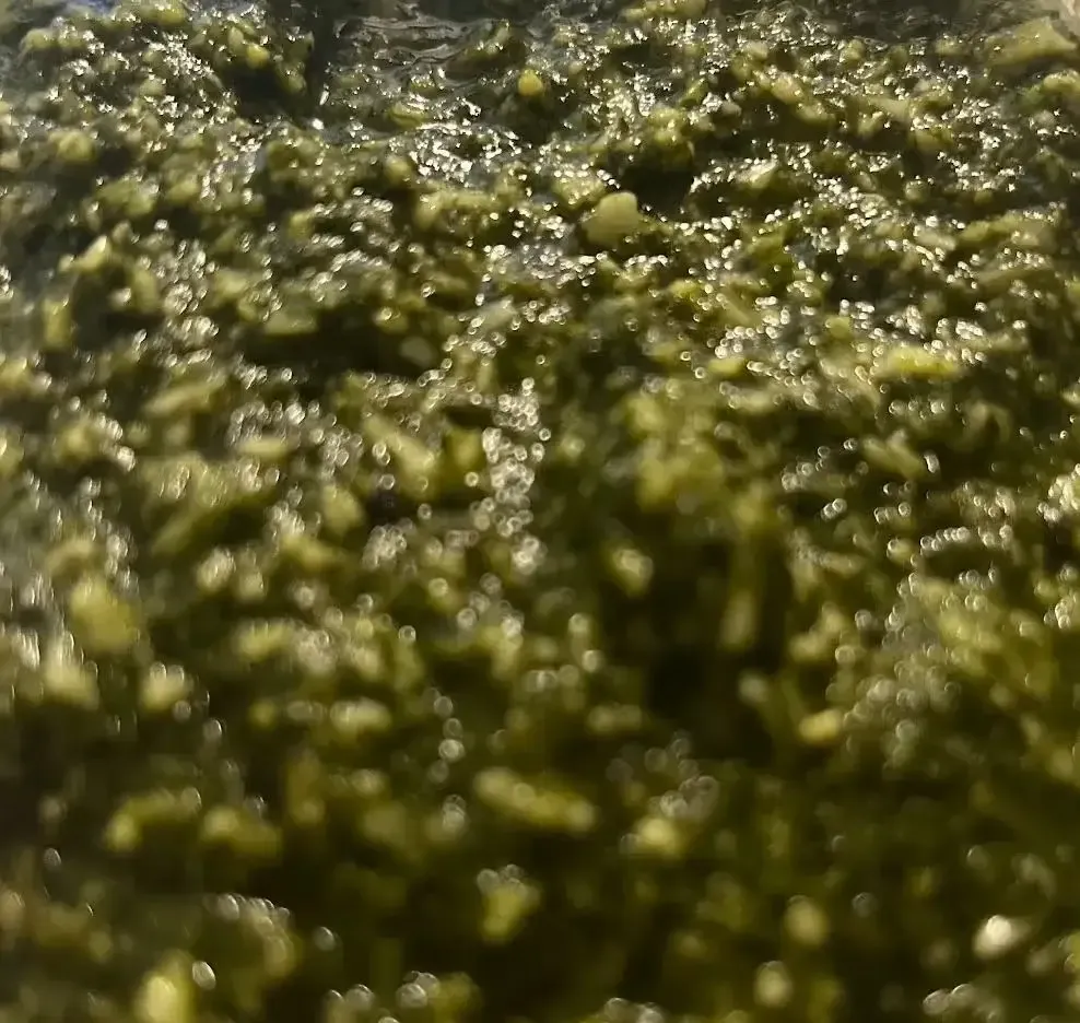 Pesto