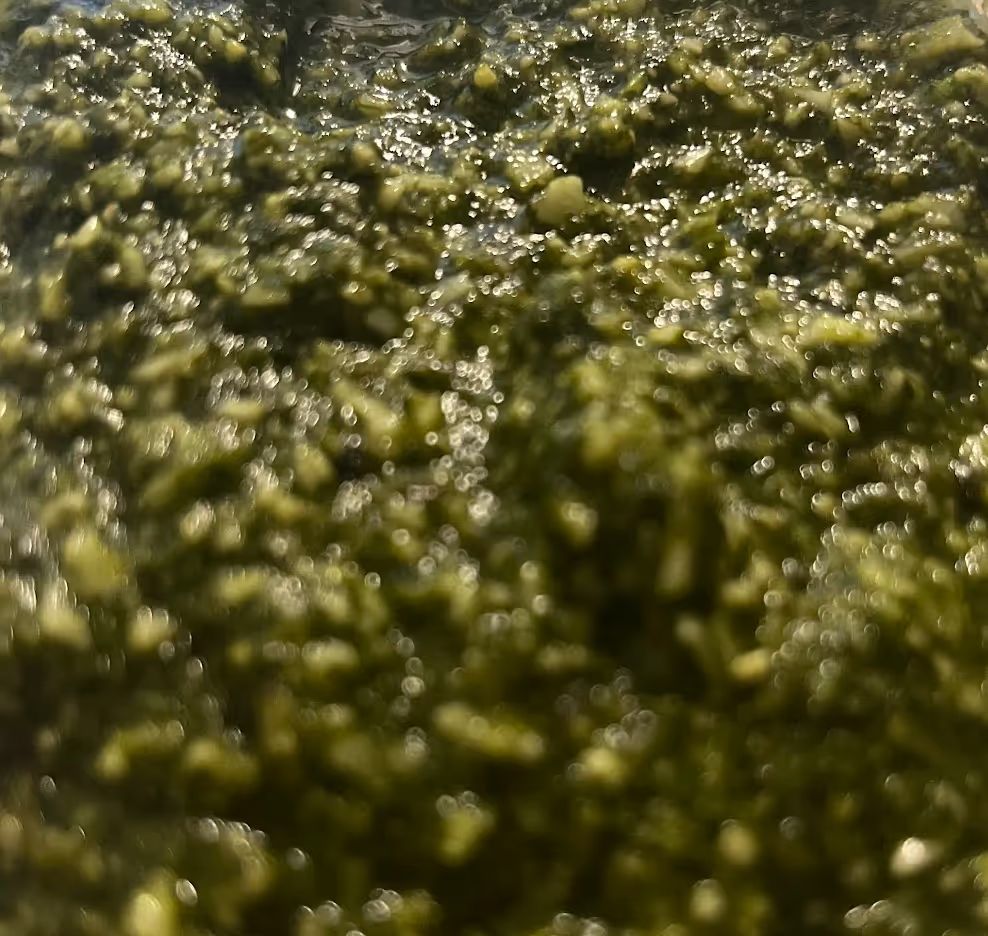 Pesto